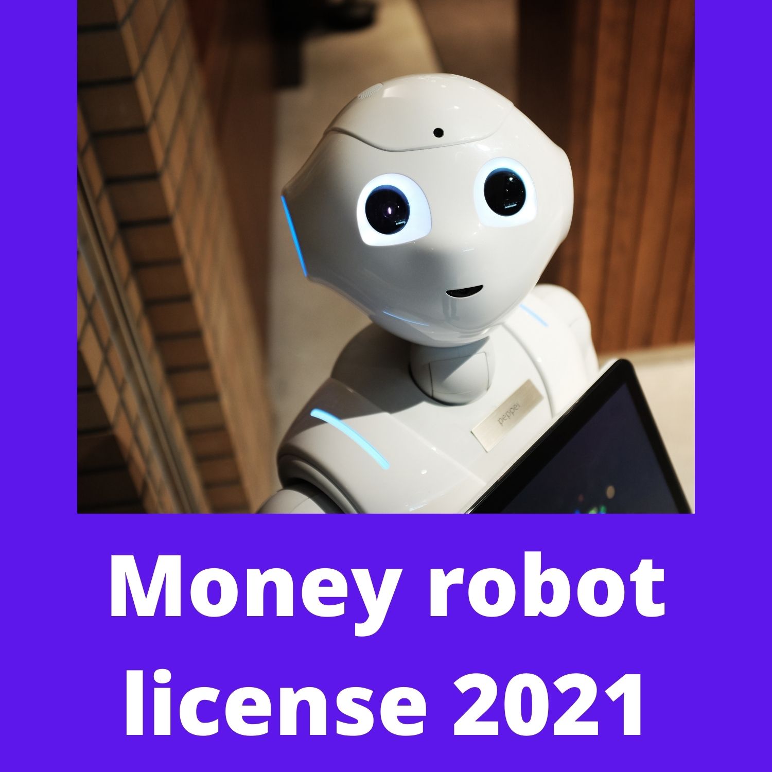 Money robot license Money robot license 2021